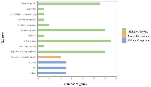 Gene ontology annotations of GRAS proteins in watermelon.