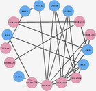 The GRAS gene family in watermelons: identification, characterization ...