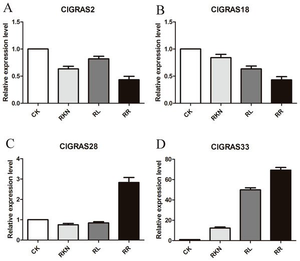 qRT-PCR results of 4 ClGRAS genes in roots.