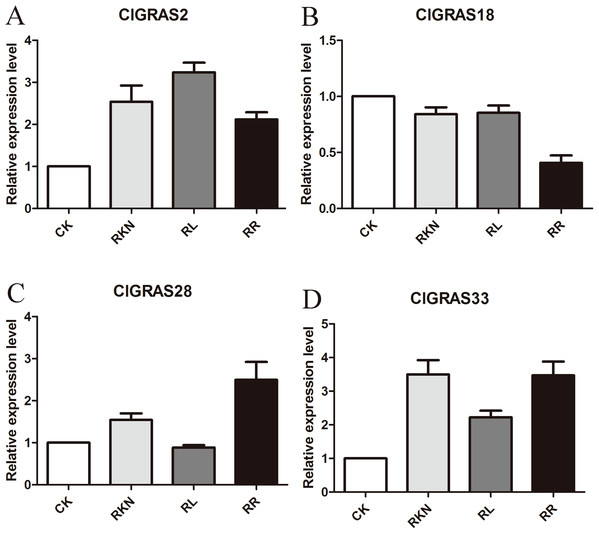 qRT-PCR results of 4 ClGRAS genes in leaves.