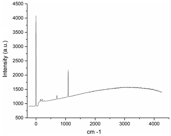 Raman spectra of the Pteria colymbus (Mollusca, Bivalvia) nacre layer sample.