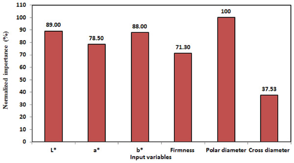 Normalized importance of the peach characteristic variables to the identification of cultivars.