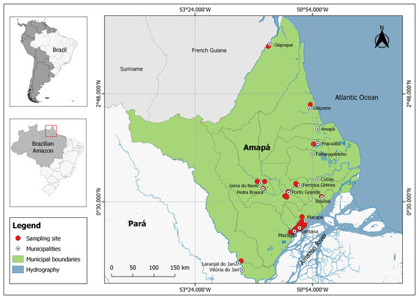 Sampling sites for Spondias mombin fruits in several municipalities of the state of Amapá, Brazil.