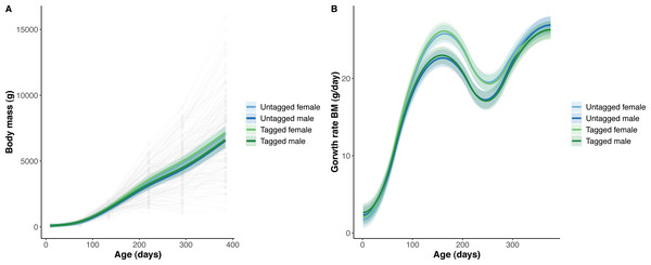 Python body mass (BM) and body mass growth across age (days).
