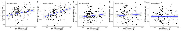 Pearson correlations between hatchling body mass (BM) and subsequent python body mass at each measurement time point.