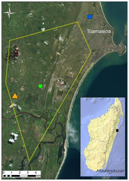 Distribution of the sampling sites (Site 1 = green circle; Site 2 = orange triangle; Site 3 = blue square) visited in September 2016.