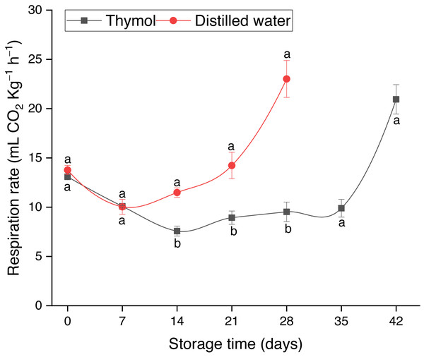 Respiration of longan treated with TH and stored at 4 °C.