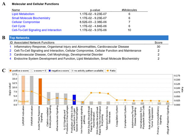 Ingenuity Pathway Analysis (IPA) of identified proteins.