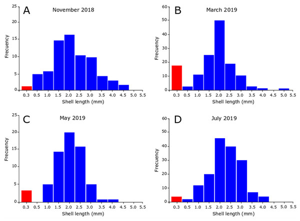 Seasonal size-frequency distributions of Heleobia atacamensis from Tilopozo, Atacama Saltpan.