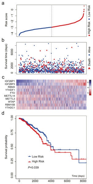 Validation of the m6A-related gene signature using data from TCGA.