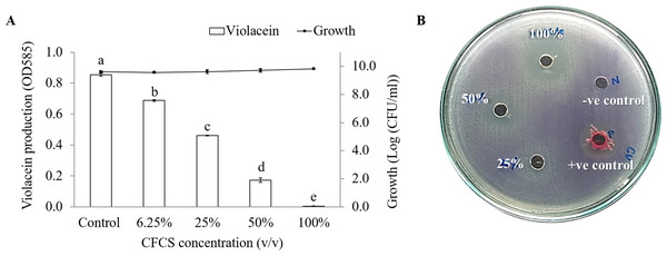 The inhibition of violacein production in C. violaceum DMST46846.