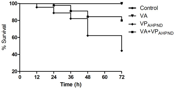Kaplan–Meier survival of Litopenaeus vannamei shrimp infection assay.