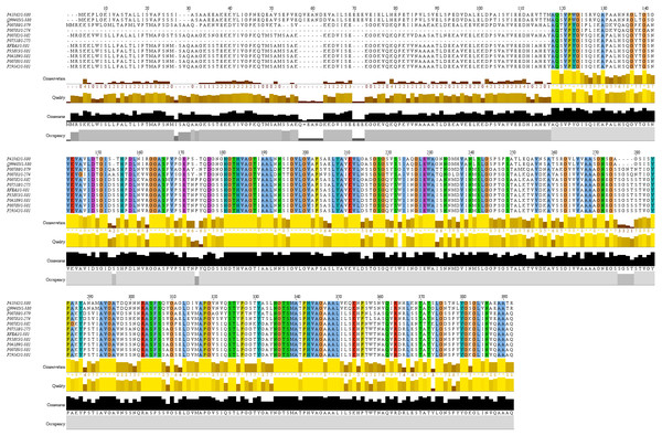 Multiple sequence alignment of RFEA1 with other homologous enzymes.