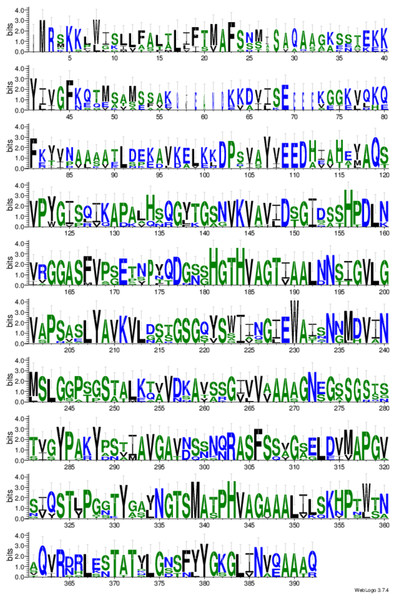 Sequence logo for conserved domain analysis of RFEA1 constructed using Weblogo.