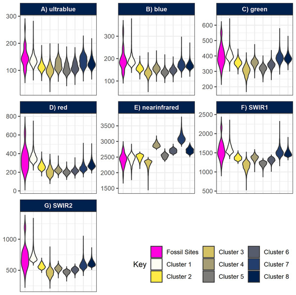 Violin-boxplots comparing sample distribution of spectral bands between clusters.