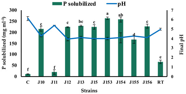Phosphate solubilization by isolated strains.