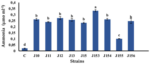 Ammonia production by isolated strains.