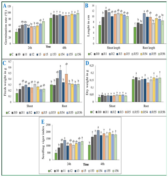 Effect of bacterial inoculation of wheat seed germination parameters.