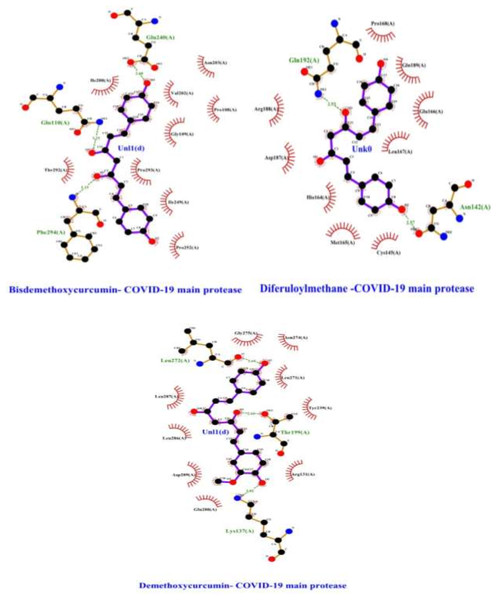 Interactions of selected polyphenols and Main protease binding pocket residues.