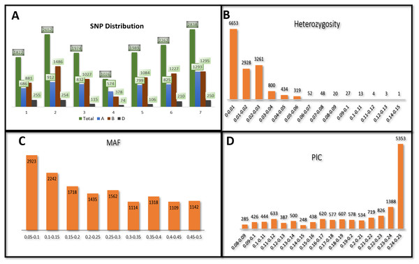 Distribution of 14,563 SNPs based on chromosomal distribution and markers characteristics.