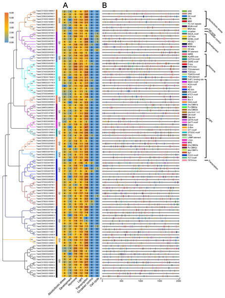 Prediction of cis-acting regulatory elements in TaUBPs.