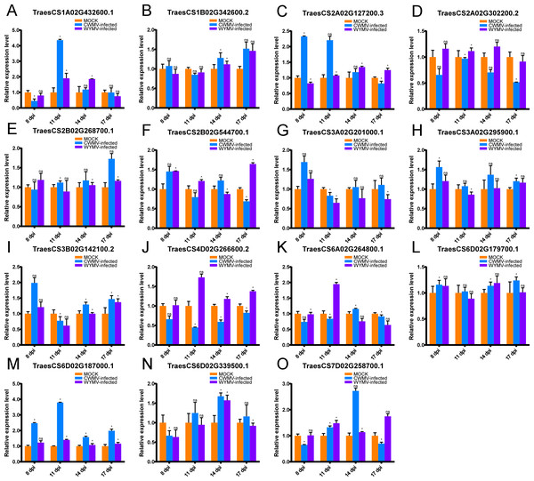 Relative expression analysis of 15 representative TaUBPs inoculated with CWMV or WYMV.