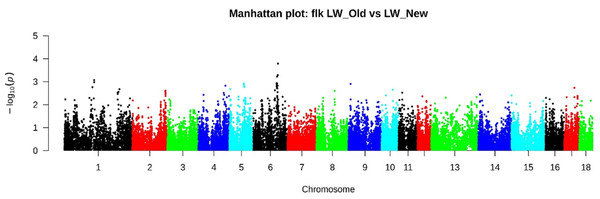 Manhattan plot LW_OLD vs. LW_NEW based on FLK results.
