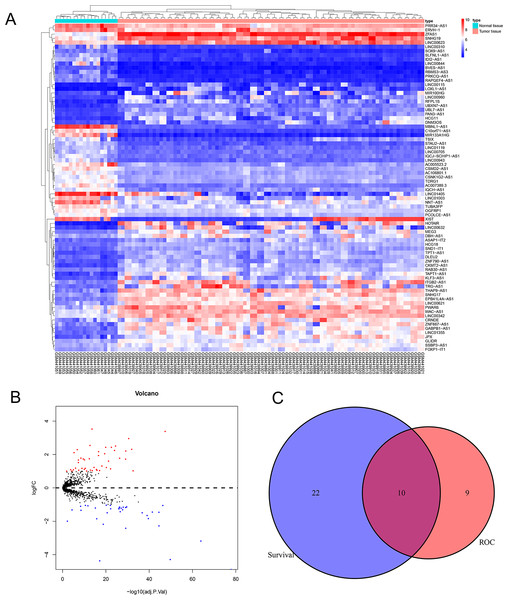  Analysis of differentially expressed lncRNAs related to the EWS.