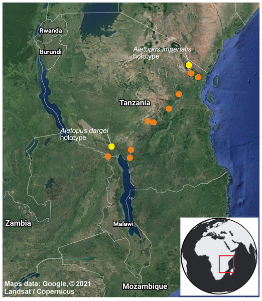 Distribution of Aletopus in Tanzania and Malawi, based on the samples examined in this study.