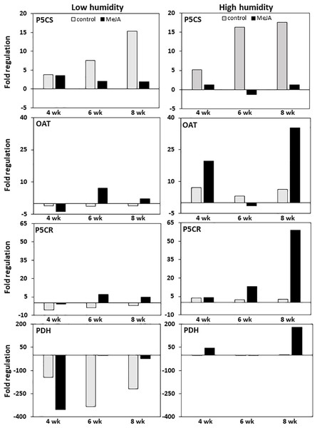 Changes in expression of genes involved in proline biosynthesis and catabolism in sugarbeet roots treated with methyl jasmonate (MeJA) or water (control) and stored at high and low relative humidity for up to 8 weeks.