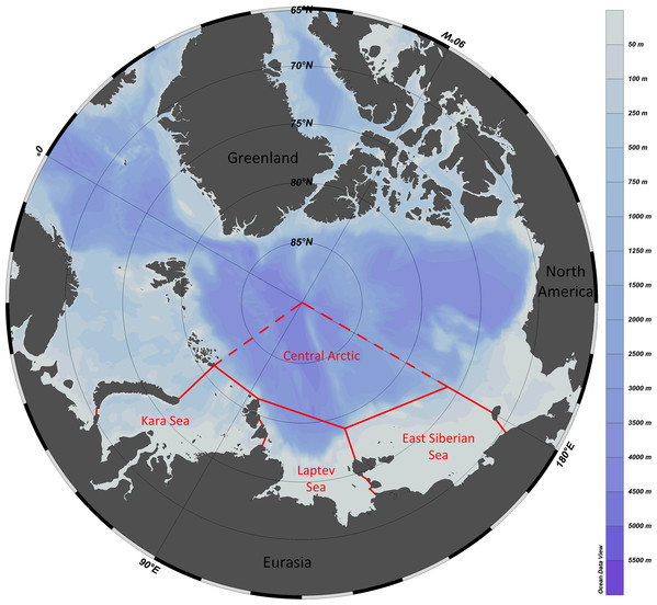 Study area with formal borders of the Kara, Laptev and East Siberian seas.