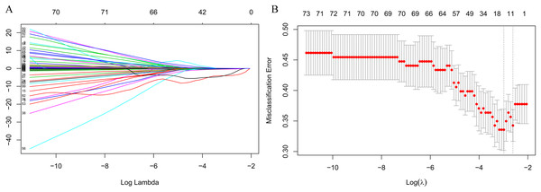 Feature selection using the least absolute shrinkage and selection operator (LASSO) binary logistic regression model.