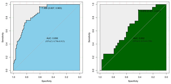 Receiver operating characteristic curves (ROC) for the preoperative index’s prediction model predicting postoperative hypokalemia in training and validation sets.