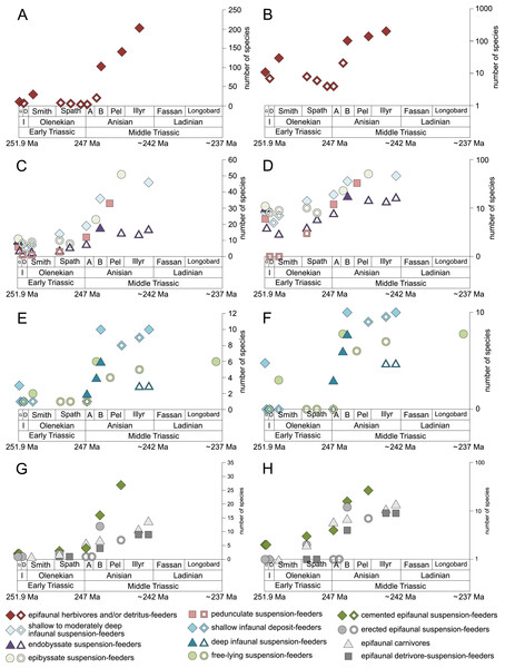 Maximum species richness throughout the Early and Middle Triassic of ecological guilds.