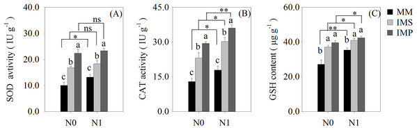 The antioxidant enzyme activity and antioxidant content in maize root under different N application and planting patterns in 2018.