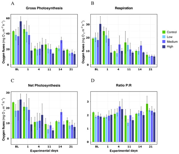 Respiration rates, net photosynthesis, gross photosynthesis (mg O2 m−2 h−1), and P:R ratio of X. umbellata under single DOC simulated organic eutrophication over time.
