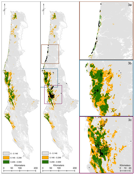 We display our modeled predicted range for Humboldt marten (Martes caurina humboldtensis).