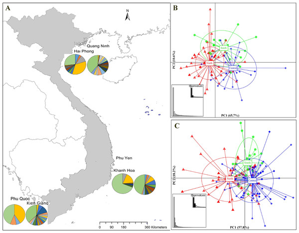Sampling stations and population structure of Portunus pelagicus and Octolasmis angulata along the Vietnamese coastline using the COI mtDNA gene.