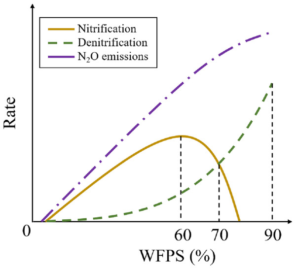 Determinants of soil N2O emissions.