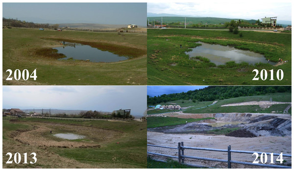 Changes of the breeding pond and surrounding area over a decade.