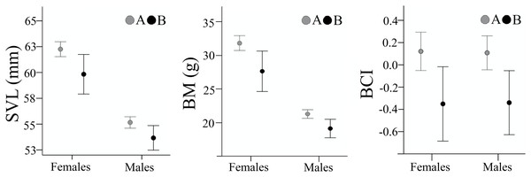Body size and body condition of male and female Pelobates fuscus, at the two sampling moments—A(2000–2004) and B (2012–2014).