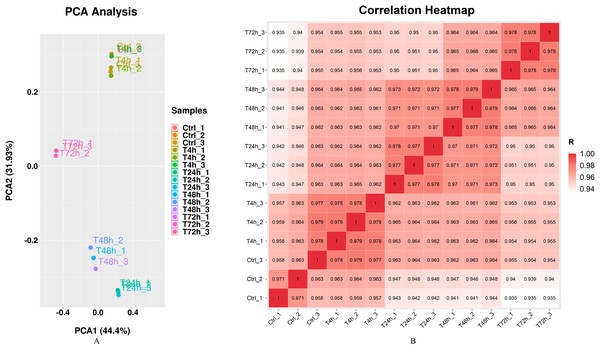Principal component analysis (PCA) plot and correlation heatmap of samples.
