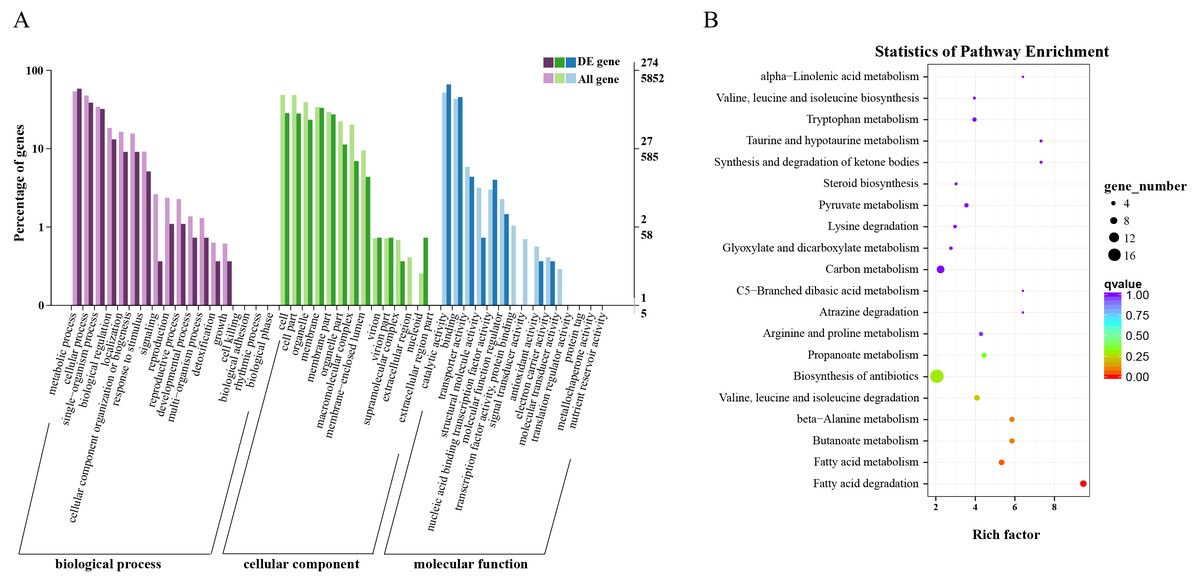 Comparative analysis of fatty acid metabolism based on transcriptome ...