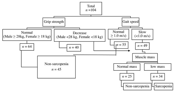 Diagnostic algorithms.