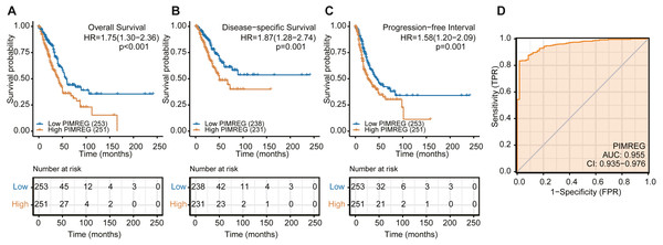 The overall survival, progression-free survival and relapse-free survival rates in PIMREG high and low patient groups.