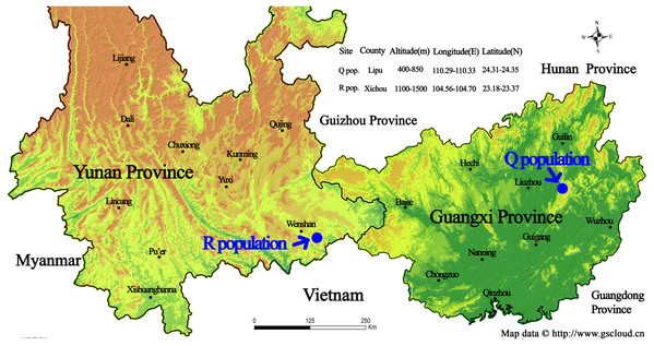 Geographic location of the sampling sites for two wild Torenia concolor populations in southern China.