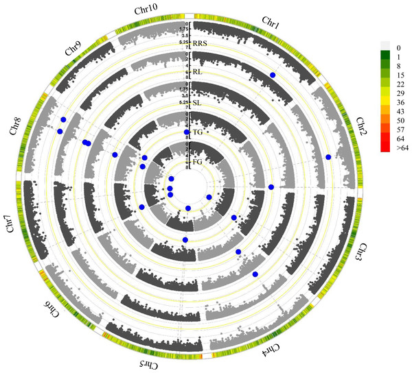 Manhattan plots of five chilling-germination traits using FarmCPU model.