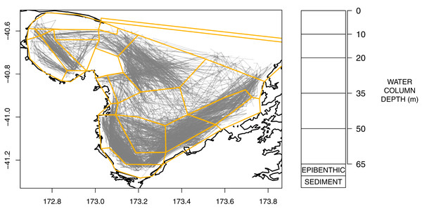 Polygons as defined for TBGB_AM with historical trawl footprint (grey, left) and depth layer bins (right).
