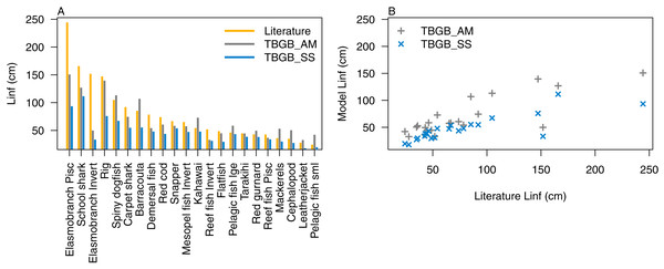 L∞ from the literature (orange bars), TBGB_AM (grey bars) and TBGB_SS (blue bars) (A), and TBGB_AM L∞ plotted against literature L∞ (grey pluses) and TBGB_SS L∞ plotted against literature L∞ (blue crosses) (B).