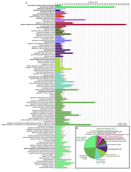 GO biological process term enrichment results.